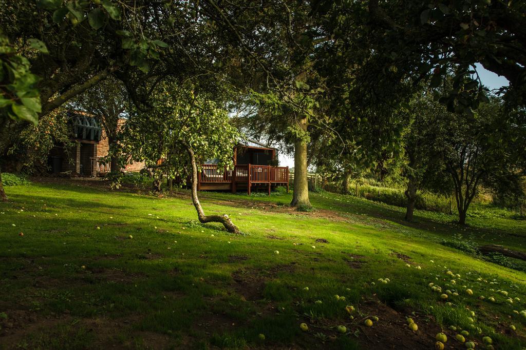 Newsham Grange Farm